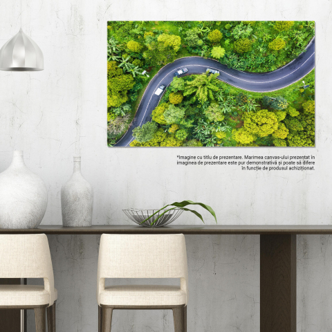 Peisaj Aerial cu Pădure și Drum - O Privire Spectaculoasă din Indonezia, Marime 40x25CM [2]