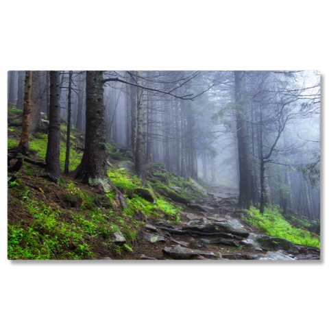 Păduri - Tablou Canvas Peisaj cu Arbori si Ceasca dupa Ploaie, Toamna, Fantana, Magie, Mister, Padure 2730 40x25CM