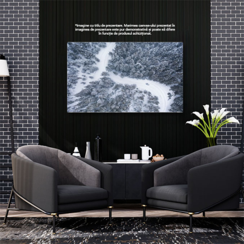 Tablou Canvas Peisaj de Iarna cu Masina, Munte si Priveliste Aeriana 40x25CM [2]