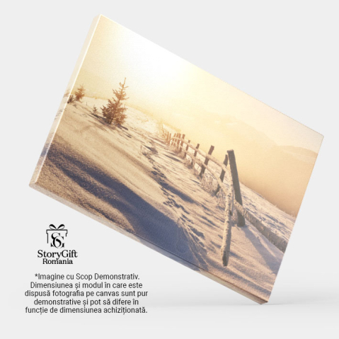 Tablou Canvas: Peisaj de Iarna in Alpii Austrieci 40x25CM [3]