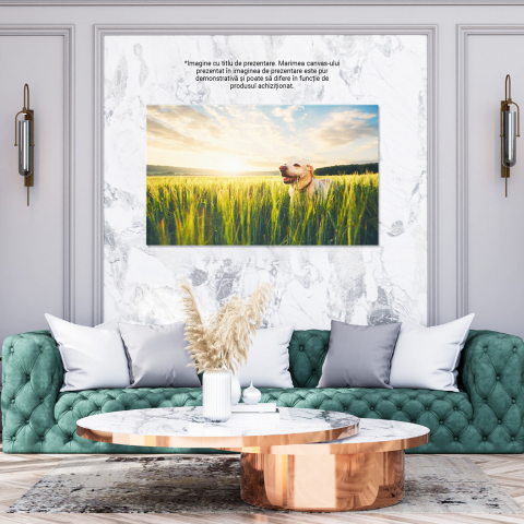 Tablou Canvas: Peisaj de Vară - Soare și Câmpii, Marime 40x25CM [2]