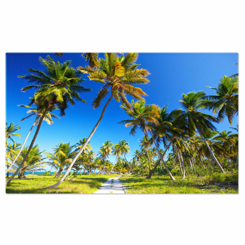 Plajă - Peisaj Exotic în Republica Dominicană, Marime 40x25CM