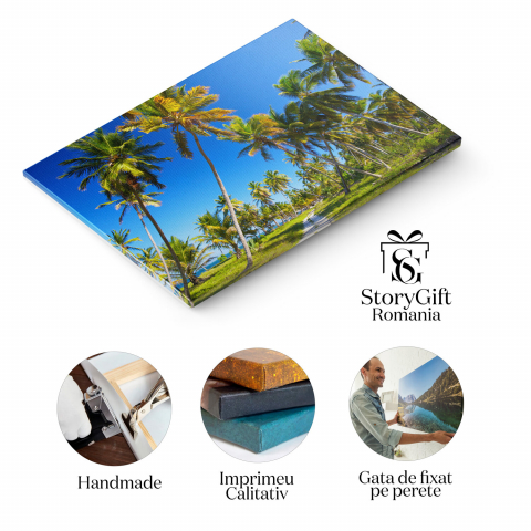 Peisaj Exotic în Republica Dominicană, Marime 40x25CM [1]