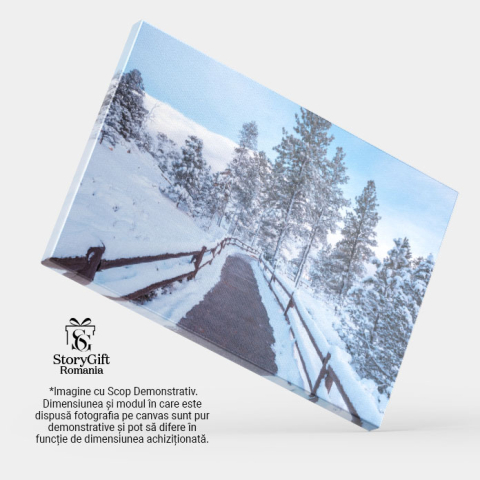 Tablou Canvas - Peisaj inzepezit in Padure: Liniste si Eleganta in Asteptarea Sarbatorilor de Iarna 40x25CM [3]