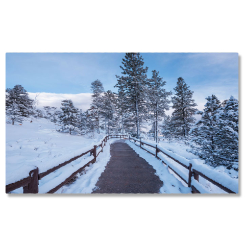 Păduri - Tablou Canvas - Peisaj inzepezit in Padure: Liniste si Eleganta in Asteptarea Sarbatorilor de Iarna 40x25CM