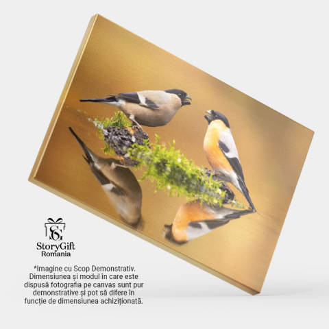 Tablou Canvas Pereche de Ciocantatori Eurasiatice Mascul si Feminin Pasari, Lac, Reflectie, Natura, Eleganta 3445 40x25CM [3]