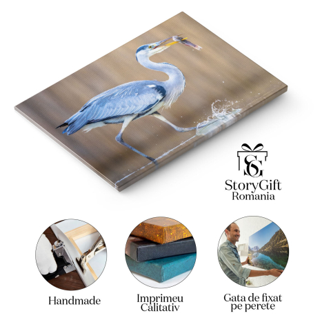 Tablou Canvas Pescar Egreta - Mestecand in Ungaria 40x25CM [1]