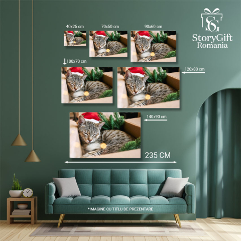 Tablou Canvas Pisica Tabby cu Palarie de Mos Craciun Rosie pisica, relaxare, Craciun fericit, cadou, umor 1577 40x25CM [4]