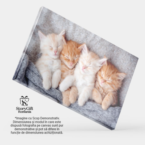 Tablou Canvas - Pisicuta ginger relaxandu-se: blanita stralucitoare, somn adanc si confort domestic 40x25CM [3]