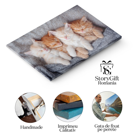 Tablou Canvas - Pisicuta ginger relaxandu-se: blanita stralucitoare, somn adanc si confort domestic 40x25CM [1]