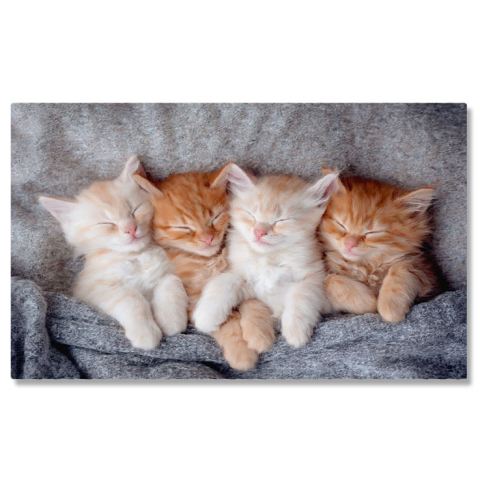 Pisici - Tablou Canvas - Pisicuta ginger relaxandu-se: blanita stralucitoare, somn adanc si confort domestic 40x25CM