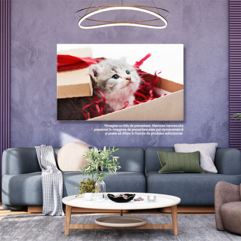 Tablou Canvas Pisicuta Gri Curioasa Privind de Pe Masa de Decoratii, Pisica, Draguta, Jucarie, Pufos 2795 40x25CM [2]