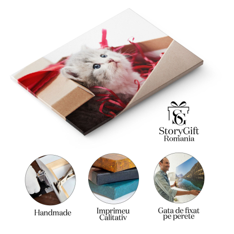 Tablou Canvas Pisicuta Gri Curioasa Privind de Pe Masa de Decoratii, Pisica, Draguta, Jucarie, Pufos 2795 40x25CM [1]