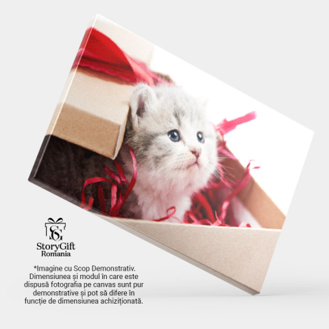 Tablou Canvas Pisicuta Gri Curioasa Privind de Pe Masa de Decoratii, Pisica, Draguta, Jucarie, Pufos 2795 40x25CM [3]