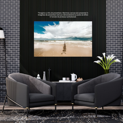Plaja Goală cu Nisip și Piatre - Peisaj Marin Seren, Marime 40x25CM [2]