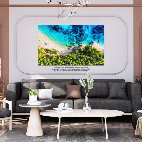 Plaja și Valuri – Tablou Canvas din Perspectivă Aeriană, Marime 40x25CM [2]
