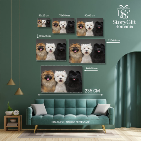 Tablou Canvas - Pomeranian Spitz: Catelus Negru si Alb cu Privire Pozitiva 40x25CM [4]