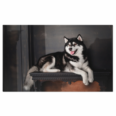 Câini - Portret Intim al unui Câine în Noapte - O Frumusețe în Întuneric, Marime 40x25CM