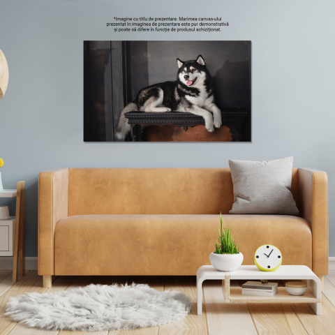 Portret Intim al unui Câine în Noapte - O Frumusețe în Întuneric, Marime 40x25CM [3]