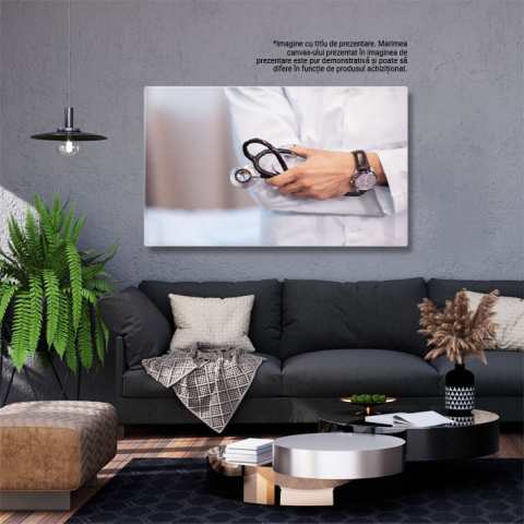Tablou Canvas: Profesionalismul unui Doctor in Evaluarea Pacientului - Medicina, Diagnoza, Sanatate 40x25CM [2]
