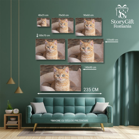 Tablou Canvas Pufosa Pisicuta Portocalie Stand in Fotoliul Ei, Animal, Draguta, Acasa, Blanos 2796 40x25CM [4]
