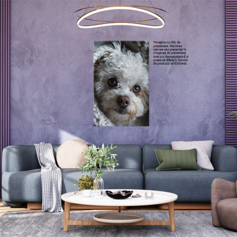 Tablou Canvas  Pufosul Catelus Alb cu Ochii Caprui Invelit in Paturica lui Groasa Gri, Pretty Puppy White , Pictura Digitala 40x25CM [1]