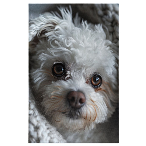 Câini - Tablou Canvas  Pufosul Catelus Alb cu Ochii Caprui Invelit in Paturica lui Groasa Gri, Pretty Puppy White , Pictura Digitala 40x25CM