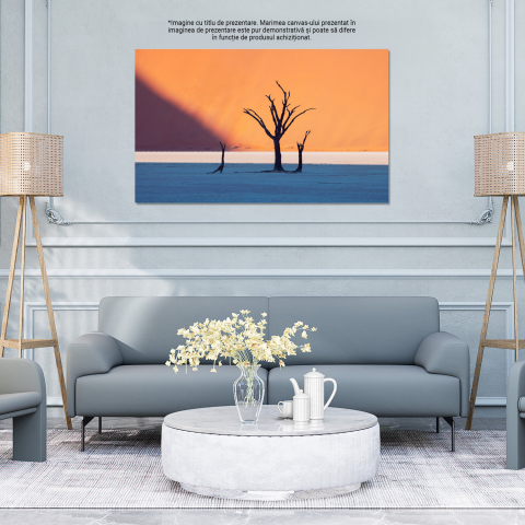 Pustiul African din DeadVlei: Sand, Dune și Peisaje Din Namibia, Marime 40x25CM [3]