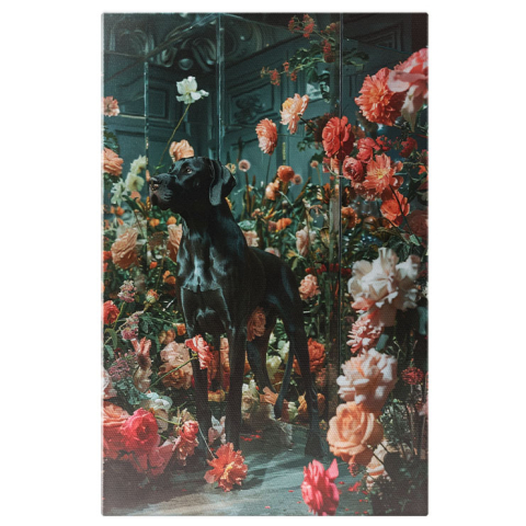 Animale - Tablou Canvas:  Rasă de Câine, Brac Negru în Cadru cu Flori Multicolore- Animale de Companie Pictura Digitala 40x25CM