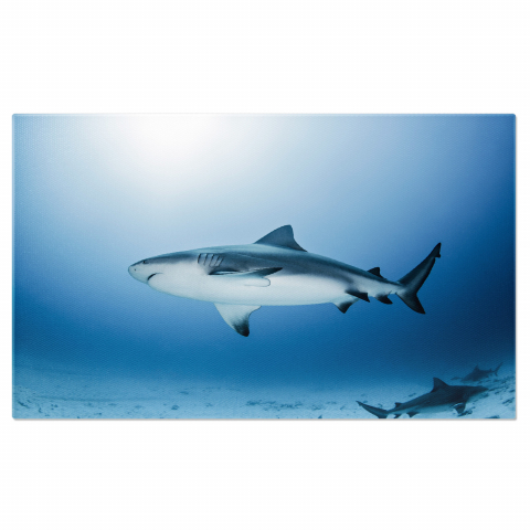 Rechin Gravid în Mediul Său Natural, Marime 40x25CM