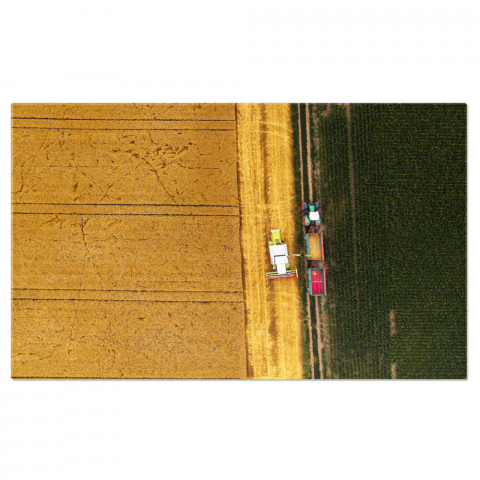 Marimea 40x25CM - Tablou Canvas: Recolta Agricola - Combina, Campuri, Agricultura, Tehnologie Drone 40x25CM