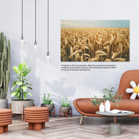 Tablou Canvas Recolta de Orz, Agricultura Bogata pe Camp 40x25CM [1]