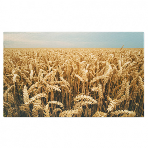 Marimea 40x25CM - Tablou Canvas Recolta de Orz, Agricultura Bogata pe Camp 40x25CM