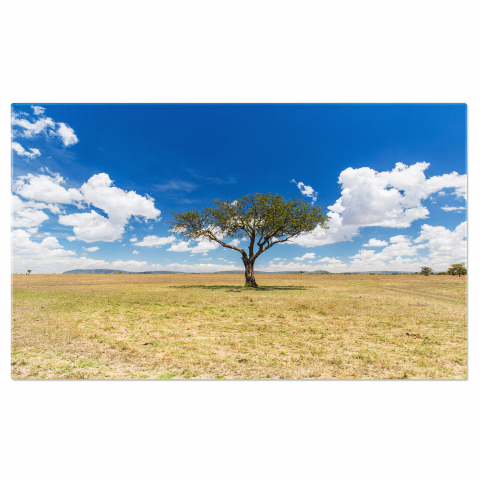 Reflecție Arbore în Mingea de Sticlă - O Conexiune cu Natura, Marime 40x25CM