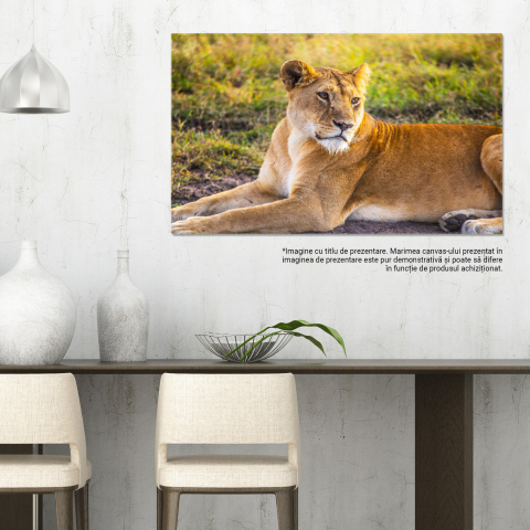 Regină Aleoică în Jungla Safari - Relaxare și Frumusețe, Marime 40x25CM [2]