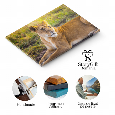 Regină Aleoică în Jungla Safari - Relaxare și Frumusețe, Marime 40x25CM [1]