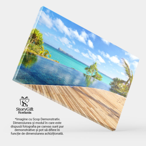 Tablou Canvas - Relaxare de Lux la Piscina unui Resort din Insulele Maldive 40x25CM [3]