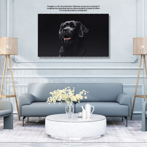 Tablou Canvas - Retriever Pufos, Portret Close-Up si Veselie Canina 40x25CM [2]