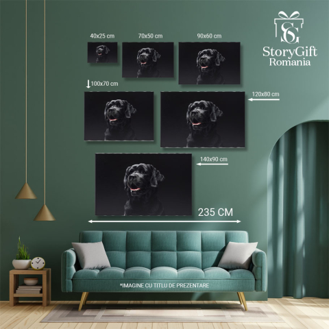 Tablou Canvas - Retriever Pufos, Portret Close-Up si Veselie Canina 40x25CM [4]