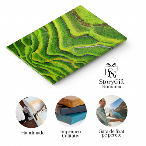 Rizieri Terase Aerian, Marime 40x25CM [1]