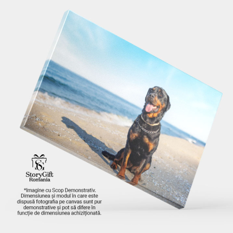 Tablou Canvas Rottweiler Pe Plaja cu Fundalul Oceanului, coasta, primavara, apa, plaja, Rottweiler 3802 40x25CM [3]