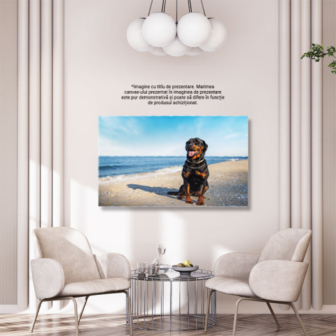 Tablou Canvas Rottweiler Pe Plaja cu Fundalul Oceanului, coasta, primavara, apa, plaja, Rottweiler 3802 40x25CM [2]