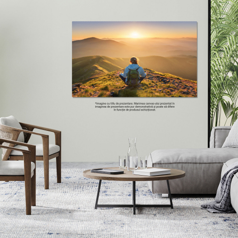 Tablou Canvas Sclipiri în Pădure: Meditație și Călătorie în Natură, Marime 40x25CM [3]