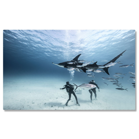 Tablou Canvas Scufundatori pe Fundul Marii, recreere, scufundare, hobby, subacvatic 4917 40x25CM [0]