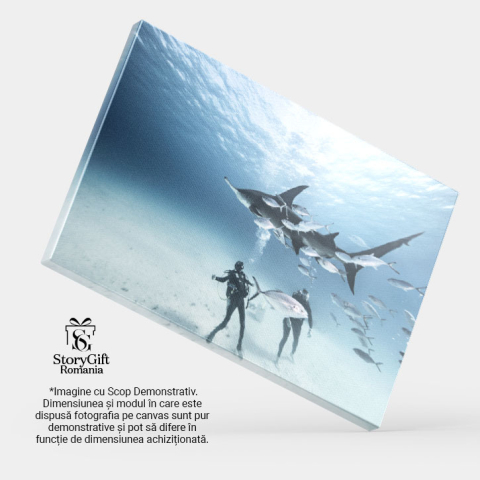 Tablou Canvas Scufundatori pe Fundul Marii, recreere, scufundare, hobby, subacvatic 4917 40x25CM [3]