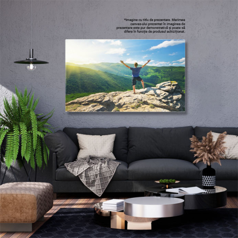 Tablou Canvas Silueta Om pe Varful Muntelui, Top, Munte, Putere, Catarare, Soare, Excursie, Hiking 2900 40x25CM [2]