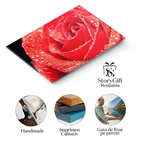 Tablou Canvas Simbol al Iubirii trandafir Rosu pe Fundal Negru, Frumusete Naturala inalta si Eleganta in Contrast de Culori 40x25CM [1]