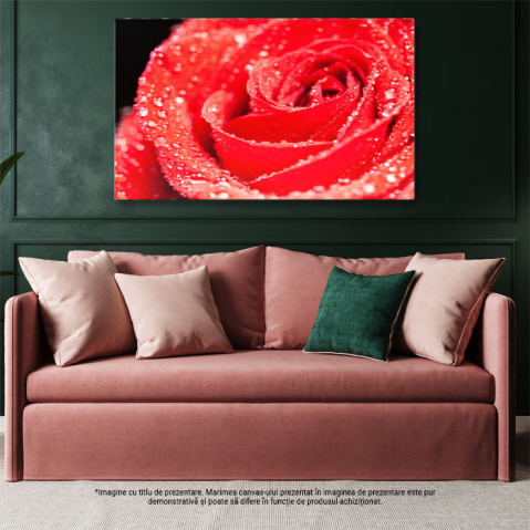 Tablou Canvas Simbol al Iubirii trandafir Rosu pe Fundal Negru, Frumusete Naturala inalta si Eleganta in Contrast de Culori 40x25CM [2]