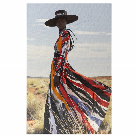 Singurătatea Plăcută - Silueta în Rochie Colorată cu Pălărie în Peisajul Secetos - Pictură Digitală, Marime 40x25CM