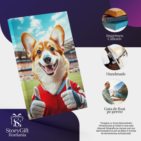  Tablou Canvas Personalizat Sportiv Pe Teren Cu Echipament Roșu Și AlbastruMarime 100x70CM [3]